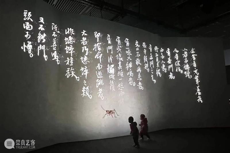 “客中月光照家山——北京画院藏齐白石精品展”于1月10日在湖南美术馆开展 视频资讯 北京画院 崇真艺客